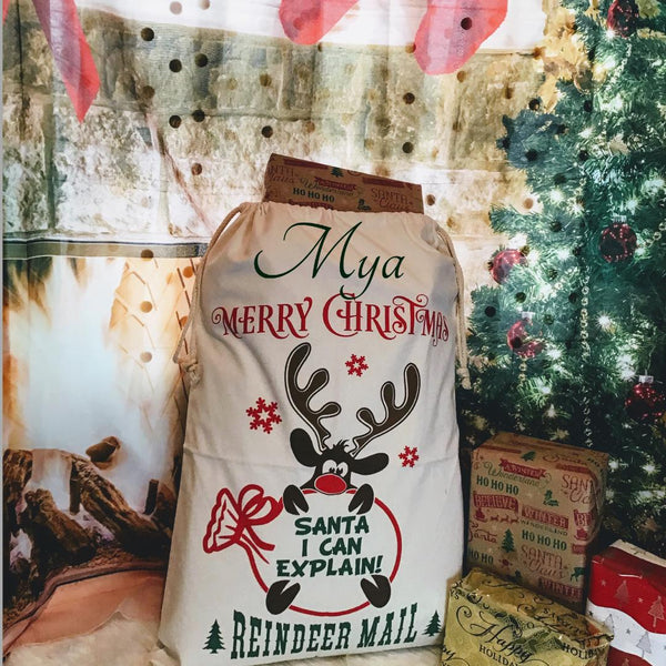 Santa I Can Explain Gift Bag